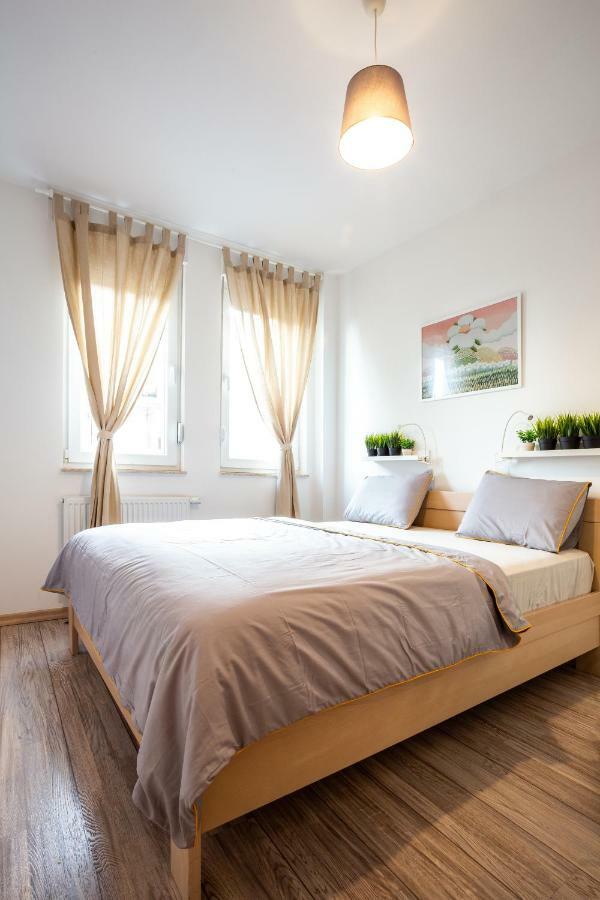 Apartament Modern Naive Downtown With Free Private Garage-Fast Wi-Fi Nowy Sad Zewnętrze zdjęcie