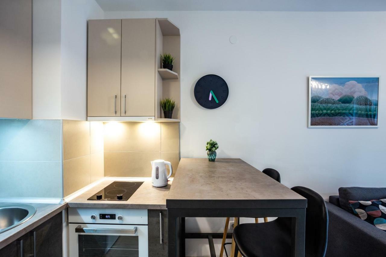 Apartament Modern Naive Downtown With Free Private Garage-Fast Wi-Fi Nowy Sad Zewnętrze zdjęcie