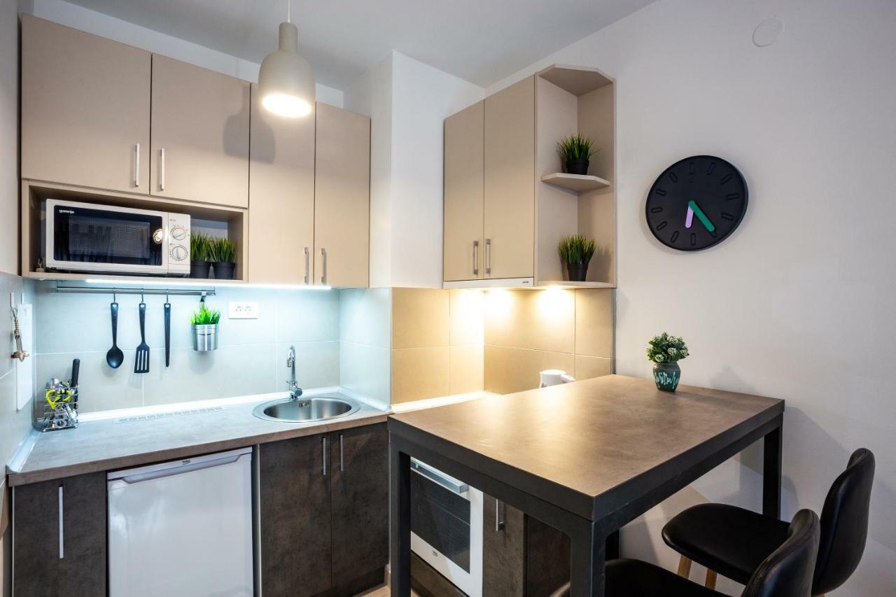Apartament Modern Naive Downtown With Free Private Garage-Fast Wi-Fi Nowy Sad Zewnętrze zdjęcie