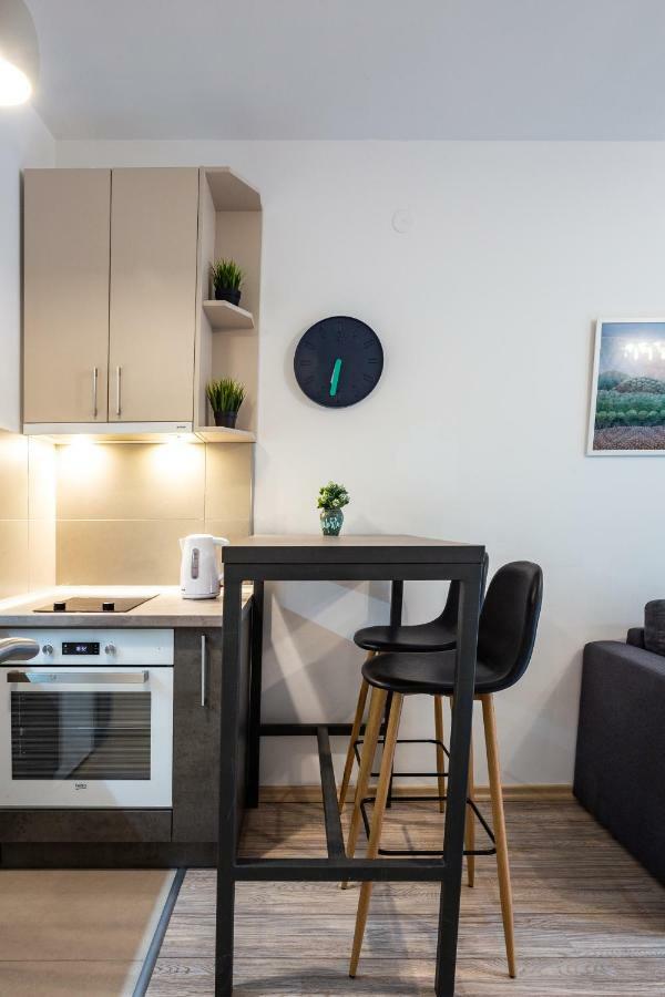 Apartament Modern Naive Downtown With Free Private Garage-Fast Wi-Fi Nowy Sad Zewnętrze zdjęcie