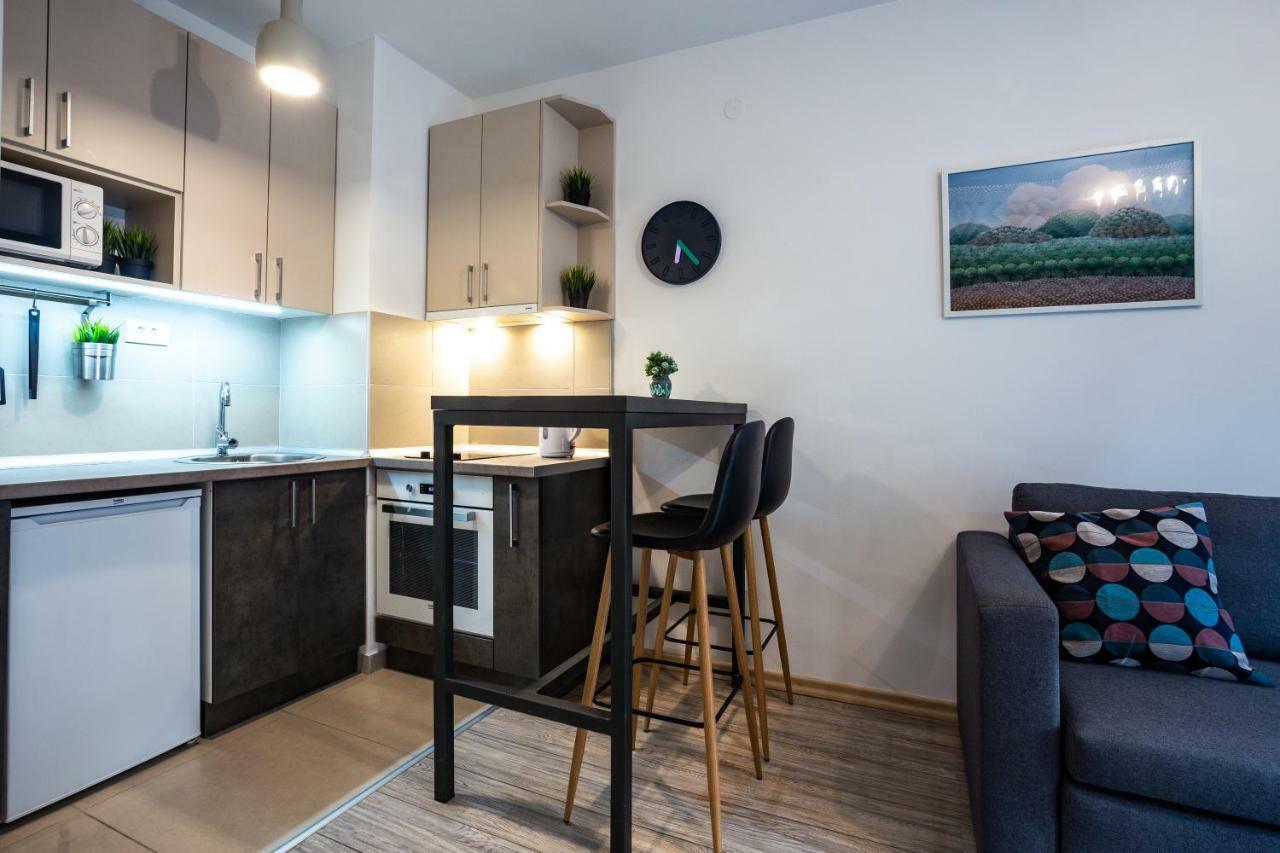 Apartament Modern Naive Downtown With Free Private Garage-Fast Wi-Fi Nowy Sad Zewnętrze zdjęcie